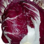 x_radicchio