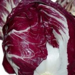 x_radicchio